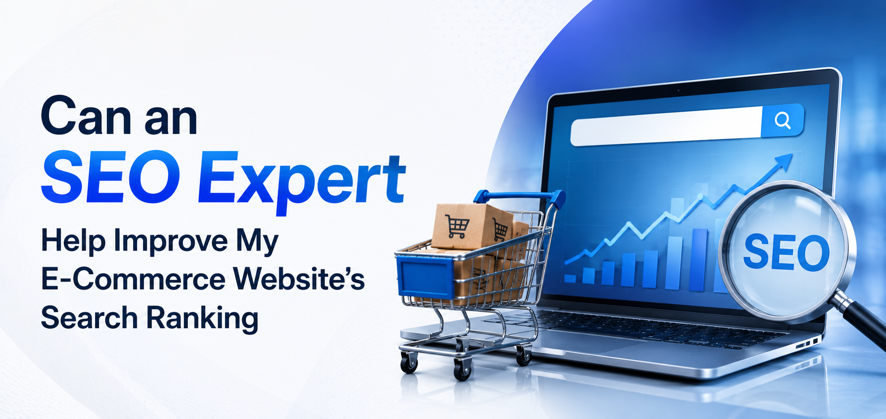 Can an SEO Expert Help Improve My E-Commerce Website’s Search Ranking